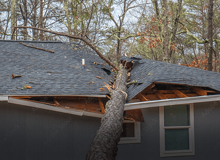 tree-fallen-residential-roof